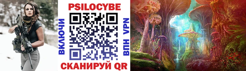 KRAKEN как зайти Анива Псилоцибиновые грибы Psilocybe